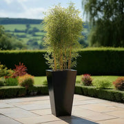 70cm Zinc Galvanised Matte Black Tapered Square Planter